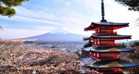 Япония предлагает обучение по стипендии правительства