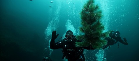 Дайвер из Иркутска о сибирских особенностях, сокровищах и новогодней елке под водой