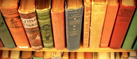 Свободу книгам от пыльных полок: акция «Буккроссинг от Молчановки» пройдет в Иркутске.