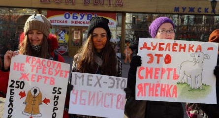 "Выступая за справедливость , невозможно оставаться тихим": интервью с участником антимехового движения 