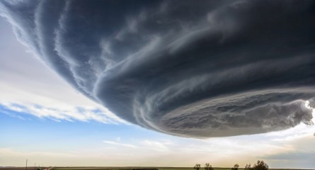 Прекрасное рядом: выставка лучших фото планеты в галерее “Dias”