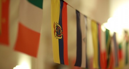 Ярославская международная модель ООН 2013