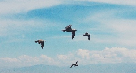 Молодых экологов приглашают в июне на Байкал  