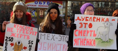 "Выступая за справедливость , невозможно оставаться тихим": интервью с участником антимехового движения 